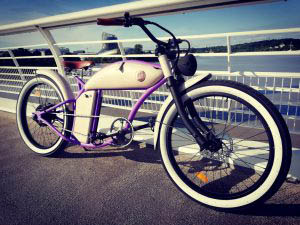 VAE CRUZER CUSTOM RAYVOLT